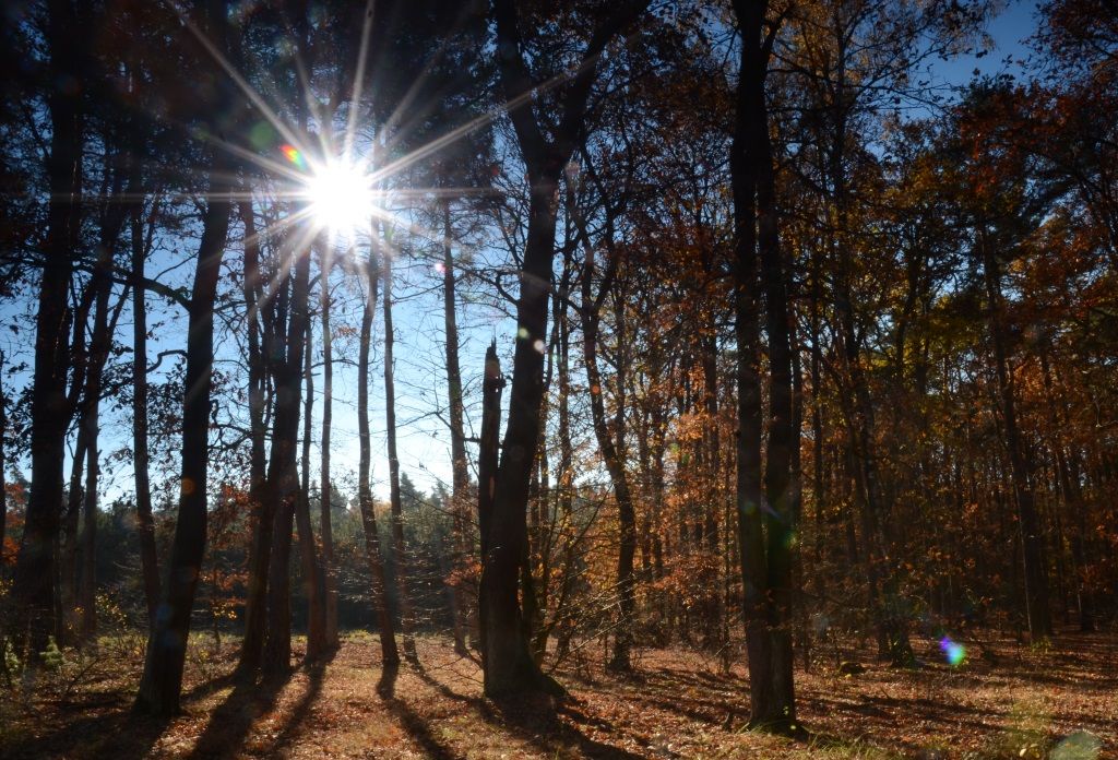 Neuvěřitelný listopad. V Česku padaly teplotní rekordy, v Karviné bylo přes 20 stupňů