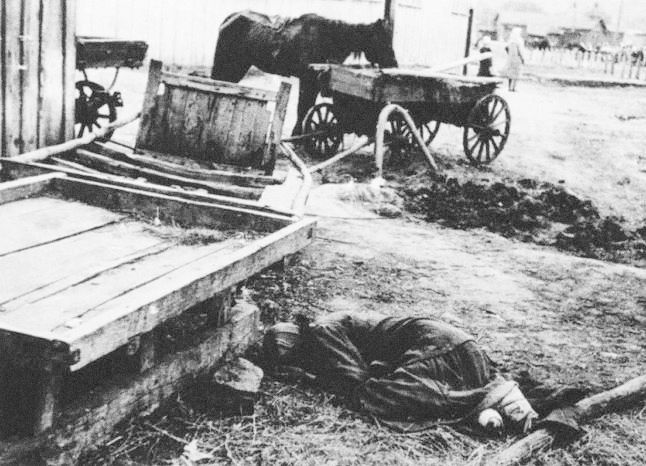 U těl zemřelých lidí stála zvířata, která čekal podobný osud. Snímek opět zobrazuje ukrajinský Charkov. | Foto: Alexander Wienerberger / Memorialholodomor.org.ua