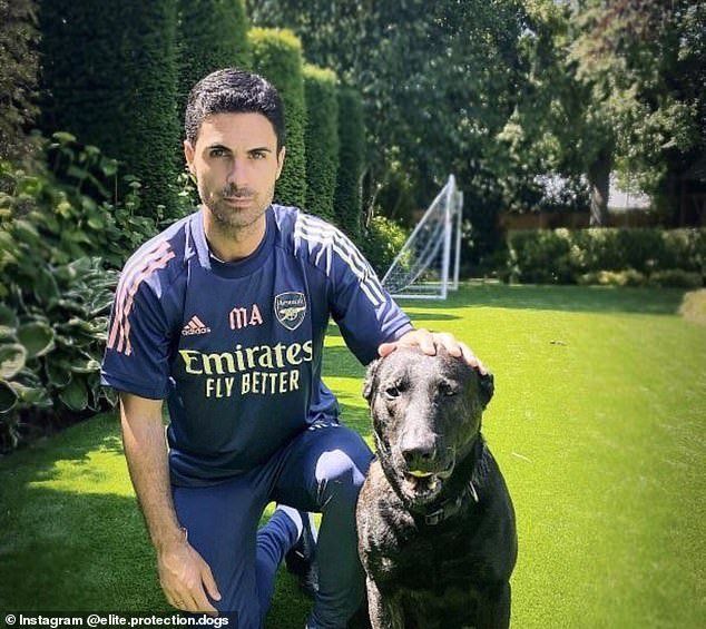 Mikel Arteta se psem | Foto: Instagram/Elite Protection Dogs