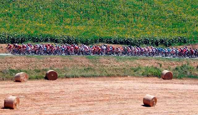 Peloton 16. etapy Tour de France. | Foto: Reuters