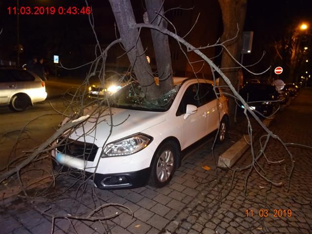 Silný vítr v Brně lámal stromy. | Foto: Městská policie Brno