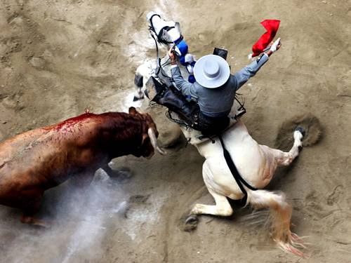 World press photo - 1. místo v kategorii Sports Features Singles Autor: Henry Agudelo. Bullfighter. | Foto: Aktuálně.cz