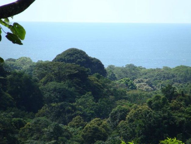 Nature Observatorio v Kostarice | Foto: Nature Observatorio