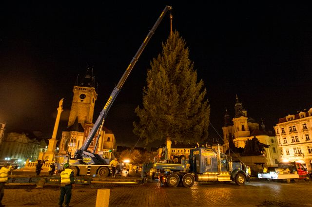 Vánoční strom na Staroměstském náměstí. | Foto: ČTK