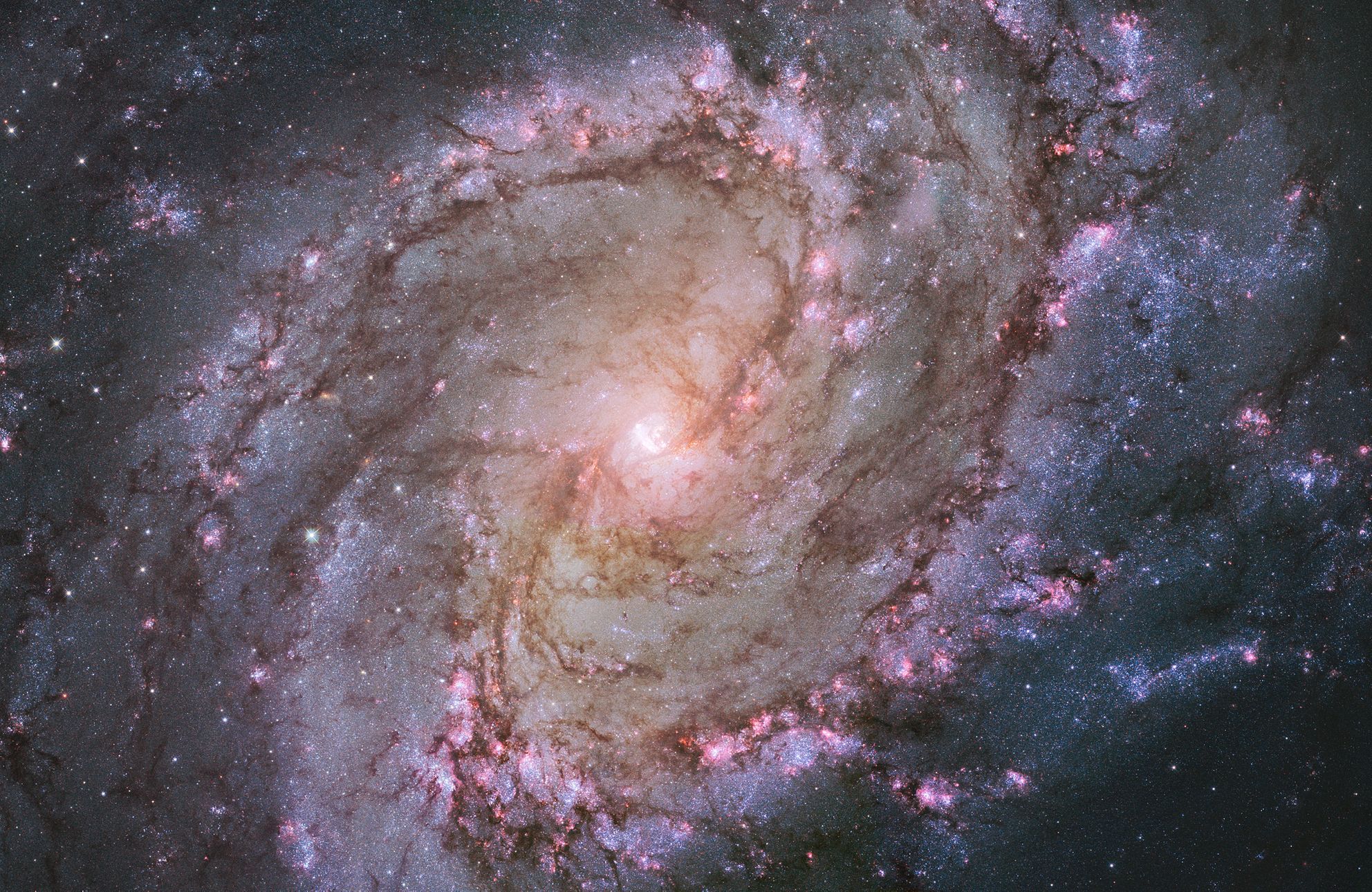 Nejlep Fotky Vesm ru Hubble v Teleskop Slav tvrtstolet Aktu ln cz nejlep-fotky-vesm-ru-hubble-v-teleskop-slav-tvrtstolet-aktu-ln-cz