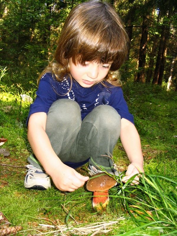 "Můj první hřib" (Vladimíra Speierlová). | Foto: Vladimíra Speierlová