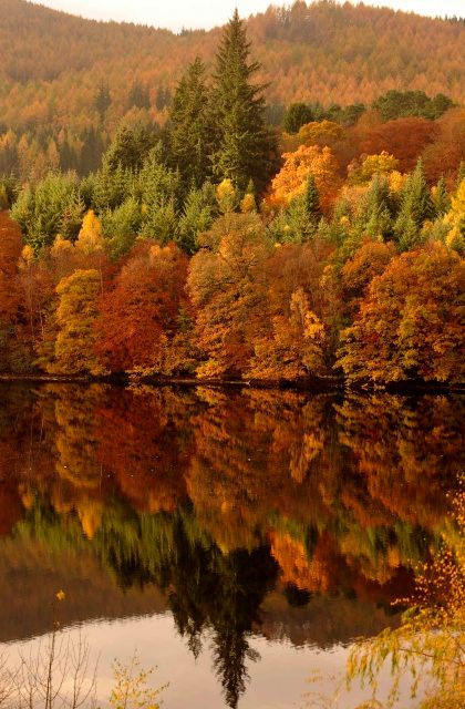 Skotský podzim u jezera Loch Dunmore. | Foto: Reuters