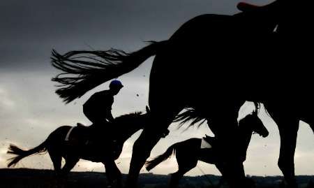 Cheltenham se blíží. Na snímku koně při výběhu v předvečer prvního závodu. | Foto: Reuters