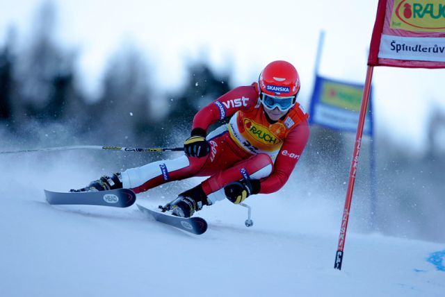 Šárka Záhrobská | Foto: www.eon.cz