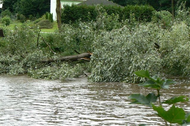 Odčerpávali ale i vodu ze sklepů. | Foto: HZS Plzeňského kraje