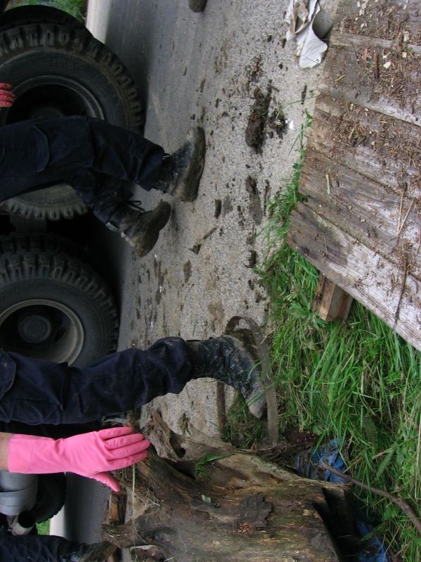 ...a navzdory barvě rukavic, kterou jakoby někdo zvolil ze zlomyslného žertu. | Foto: Karel Toman