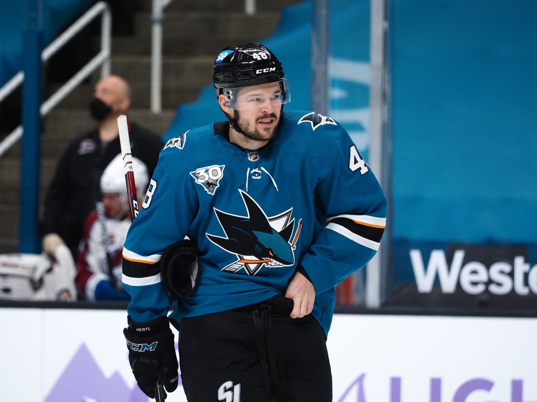 Hertl scored the winning goal of San Jose, Palát did not avert the debacle with two assists