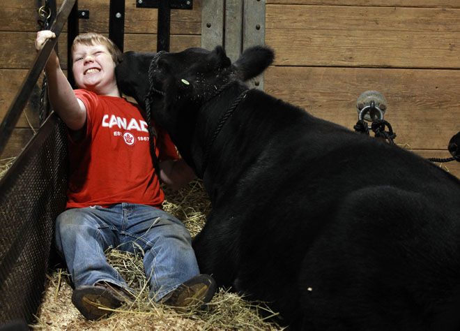 Foto: STEVE RUSSELL, Toronto Star via NEWS PHOTOGRAPHERS ASSOCIATION OF CANADA