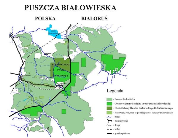 Podrobnější mapa Bialowiežského pralesa a Bialowiežského národního parku. Světlejší zelená je celý park. Nejtmavší zelená je chráněné území národního parku. Černá čára je hranice mezi Polskem a Běloruskem. | Foto: www.bpn.com.pl