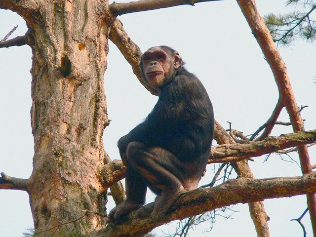 Foto: ZOO Ostrava