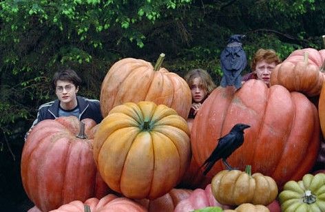 Harry Potter a vězeň z Azkabanu (2004) | Foto: www.imdb.com