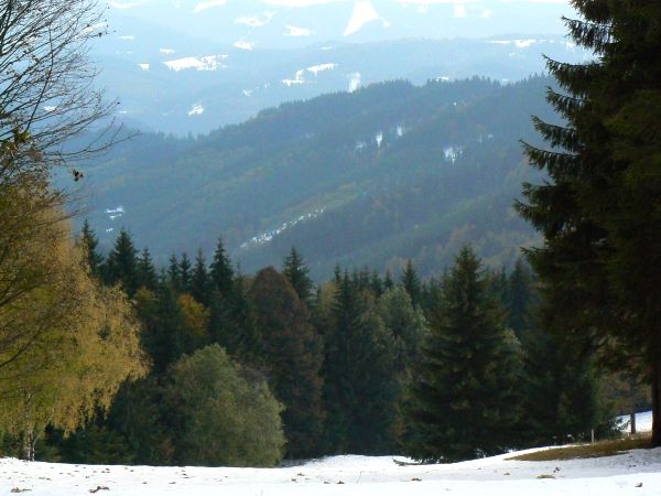 Zatímco "na kotárech" neboli v kopcích se zima udržela i týden po kalamitě... | Foto: Karel Toman