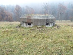 Dále bunkry stojící v Krušných horách. Tento se nachází v lokalitě U Křížku zhruba 100 metrů severně při „Naučné stezce čs. opevnění z let 1936-1938 na Chomutovsku“ v otevřeném terénu, přístup k němu je po částečně zpevněné polní cestě z místní části Březenec města Jirkov. Stojí minimálně 52 475 korun. | Foto: Ministerstvo obrany ČR