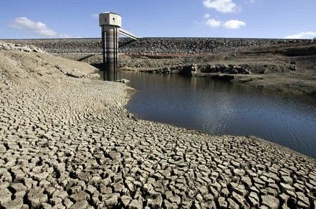 Austrálii zastihla extrémní sucha, která škodí hlavně zemědělcům. Přehrada Pejar v oblasti jihozápadně od Sydney, kde se chovají ovce. | Foto: Reuters