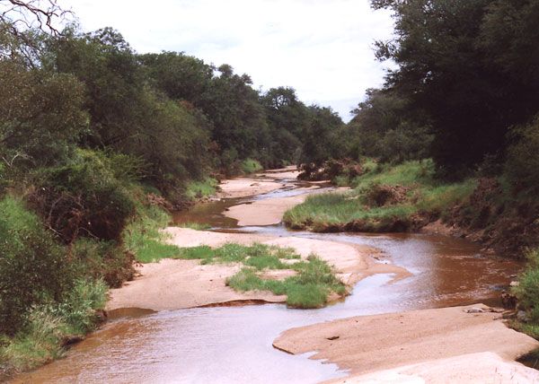 Meandrující potok v Krugerově národním parku vypadá nevinně. Až zaprší, povalí se tudy ohromná masa vody. | Foto: Pavel Baroch