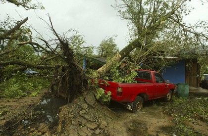 Vítr kácel stromy a strhával střechy. | Foto: Reuters