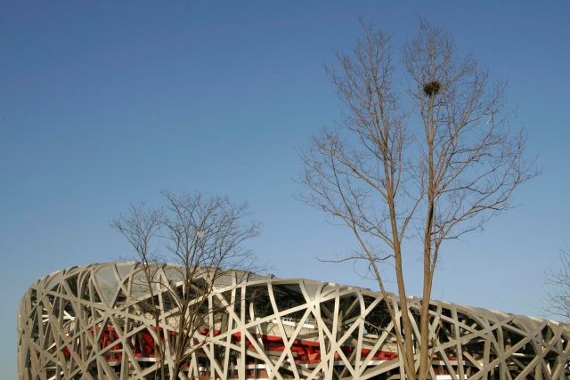 Stadionu se přezdívá ptačí hnízdo. Jedno reálné si pekingští ptáci vybudovali i na blízko stojícím stromě. | Foto: Reuters