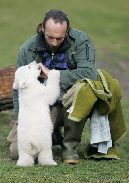 Medvěd Knut, který rozdělil Německo musí být krmen co 4 hodiny. Na snímku se zaměstnancem berlímské ZOO Thomasem Doerfleinem. Spory o to, zda má medvídě, které matka odvrhla zůstat na živu a nebo má být utraceno sice nejsou vyřešeny, malý lední medvěd však zřejmě utracen už nebude. | Foto: Reuters