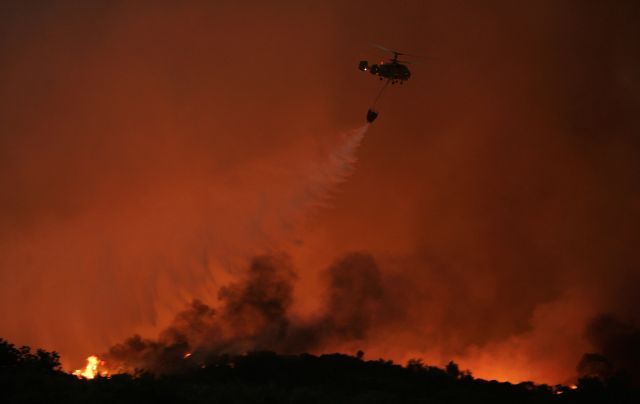 Od července v Portugalsku hořelo celkem padesát lesů. Denní teploty se přiblížily čtyřiceti stupňům. | Foto: Reuters