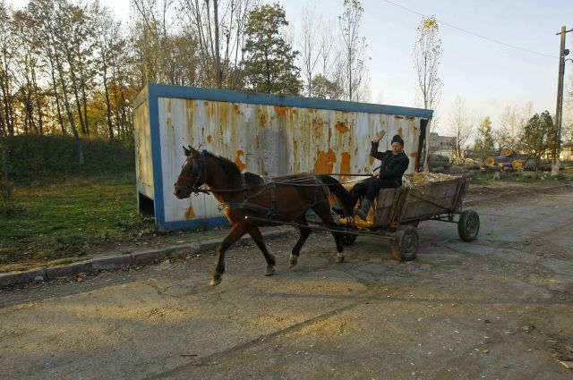 Na rumunském venkově jsou stále k vidění koňské povozy. | Foto: Reuters