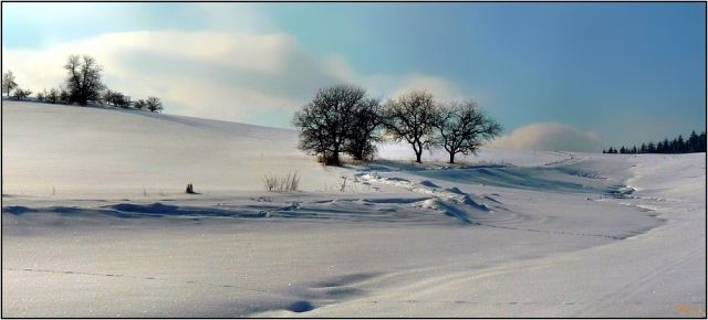 Zima u Olešnice nedaleko Bystřice nad Pernštejnem. "Tak tolik sněhu jako letos tu bylo naposledy v roce 1969," píše autor fotografie Vincenc Procházka, který dodává, že letos už nebylo "kam s ním". | Foto: Vincenc Procházka