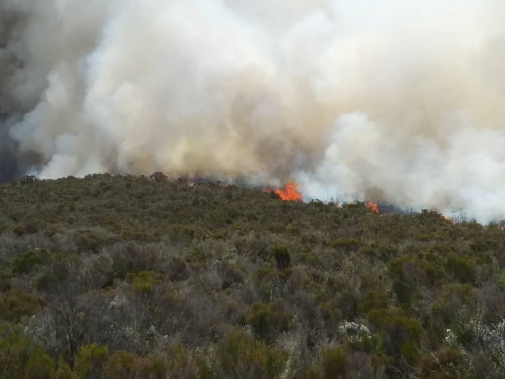 Le Kilimandjaro continue de brûler.  Le travail des pompiers sur la plus haute montagne d’Afrique est compliqué par le vent et la sécheresse