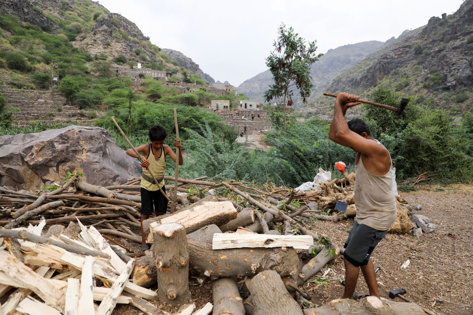 EU bojuje proti odlesňování. Chce zakázat dovoz potravin, kvůli kterým mizí pralesy