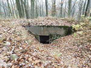 Na úpatí Krušných hor se nachází i tento řopík. Stojí přibližně 200 metrů jižně od zástavby místní části Březenec. Cena je minimálně 64 475 korun. | Foto: Ministerstvo obrany ČR