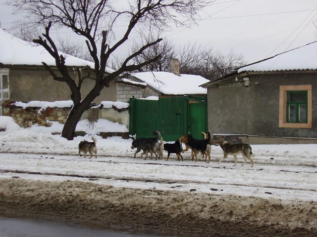 Foto: Martin Novák