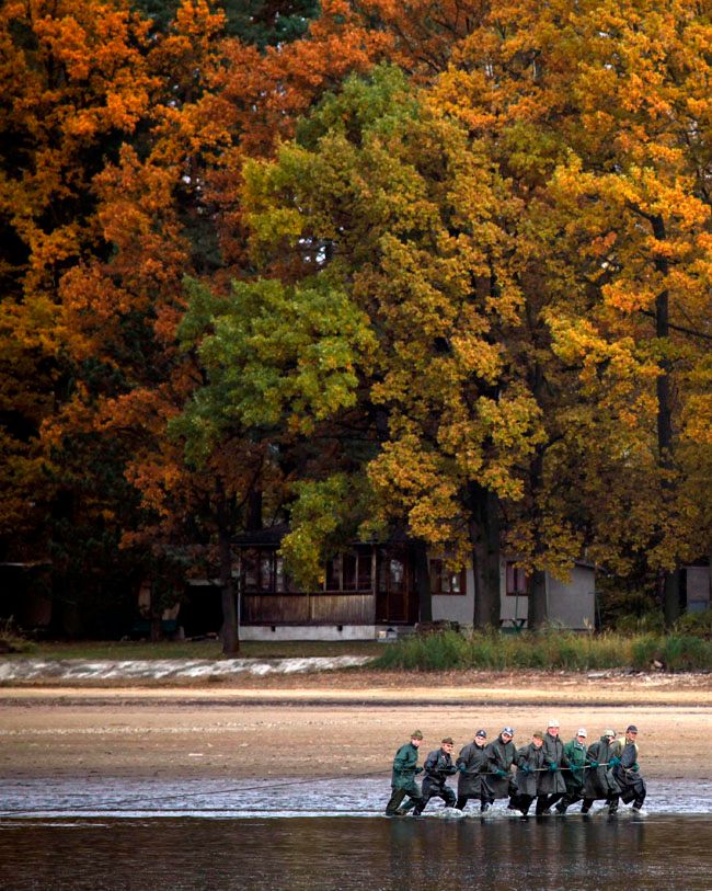 Jihočeské Dvořiště. | Foto: Reuters