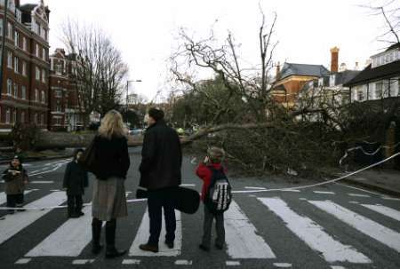 Vichřice dnes páchala škody v celé Evropě. Na londýnské Abbey Road padaly stromy na auta. | Foto: Reuters