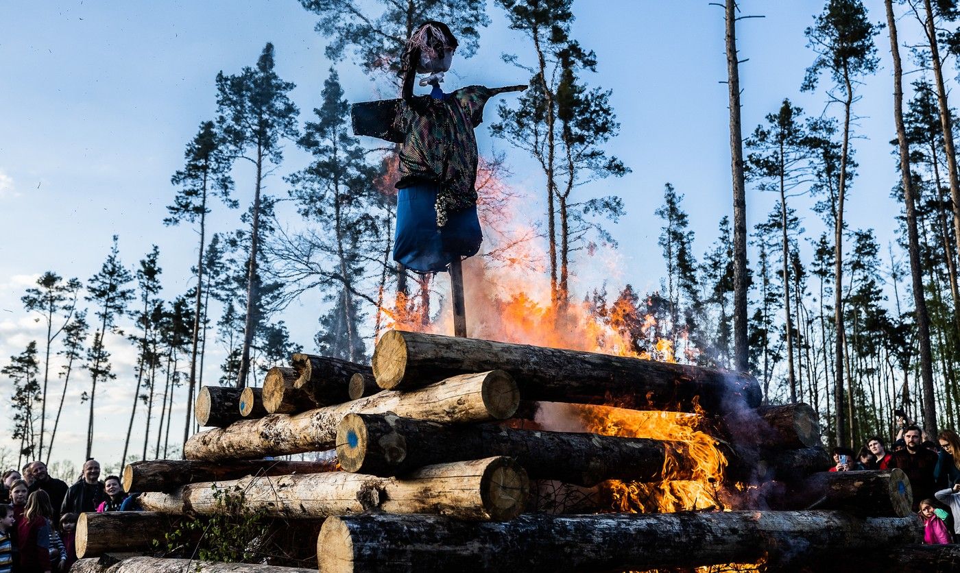 Burning witches will affect the risk of wildfires.