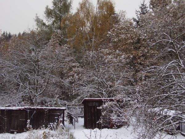 "Sněžit začalo ve středu,kdy nám napadl i první poprašek letošní zimy, včera už to byly 2 až 4 cm sněhu, které se udržely po celý den při teplotách od -3 do +1 stupně. Dnes opět něco připadlo, takže tu máme celkem 5 centimetrů sněhu. To je ne začátek listopadu dost vyjímečné, zvlášť když se sníh a mráz drží po několik dní," řekl Aktuálně.cz amatérský meteorolog Karel Hrdlička. | Foto: Karel Hrdlička