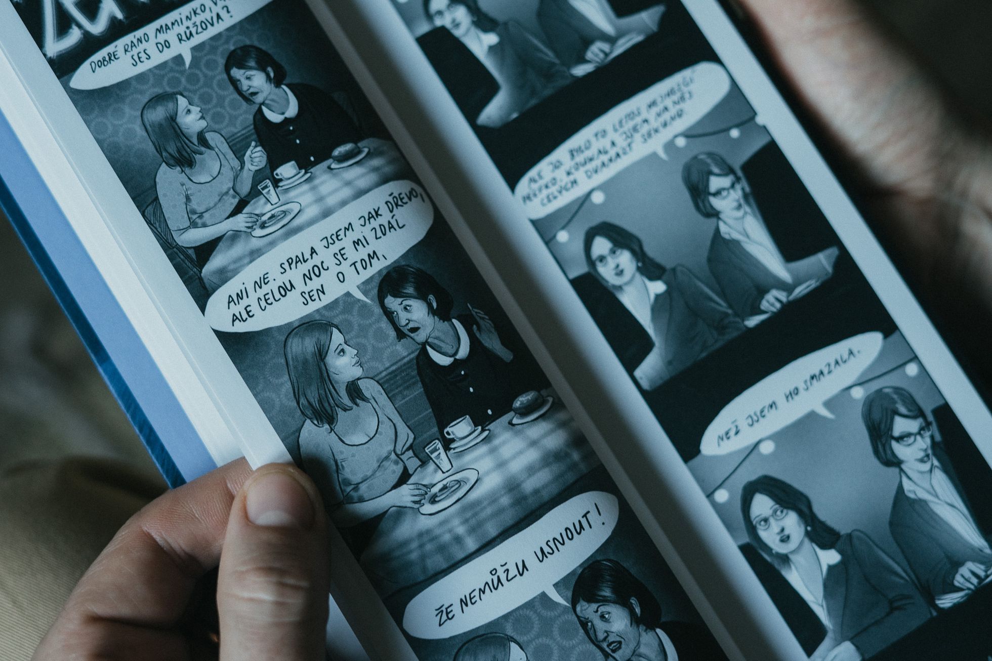 Gaučový macho má pohodu, žena dře. "Muž se nemá jen vézt," říkají autoři komiksu
