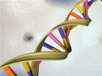 Model DNA. | Foto: Reuters