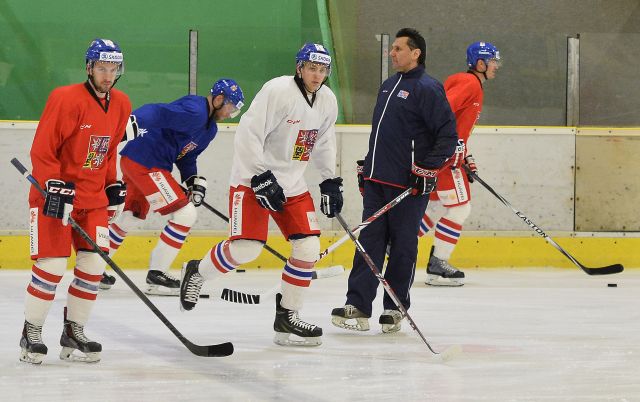 Běžně národní tým touto dobou trénuje v Ice areně v Praze Letňanech. Tam se však od pátku do neděle konají turnaje, proto muselo vedení reprezentace hledat jiné tréninkové plochy. | Foto: ČTK