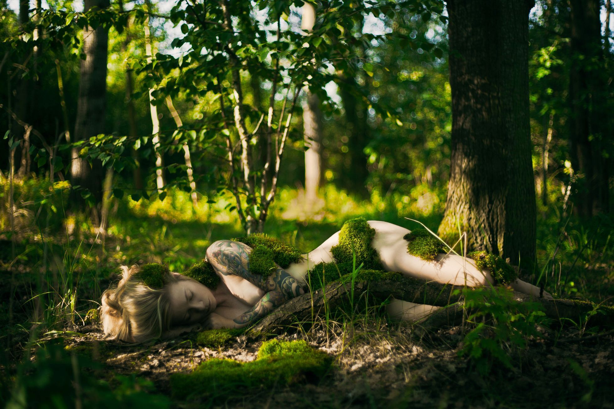 Спит в лесу
