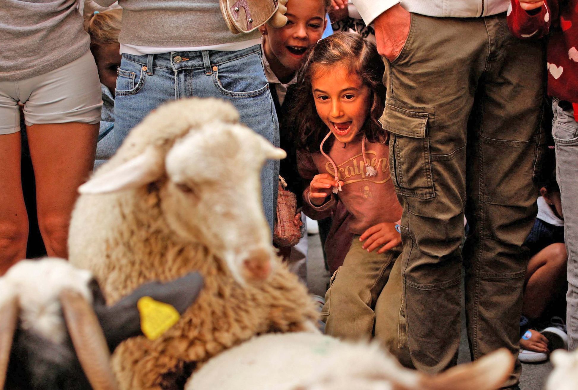 Král Alfons X. by měl radost: zvonce a smích ovládly ulice Madridu