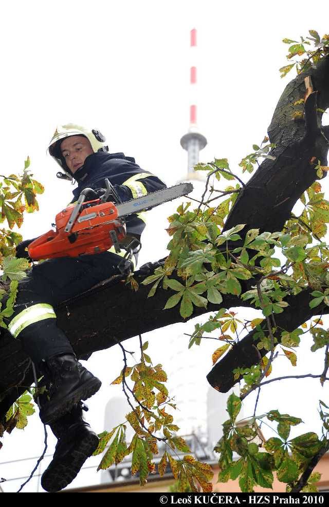 Zahrada u koncertní a výstavní síně Atrium na Žižkově. | Foto: Leoš Kučera