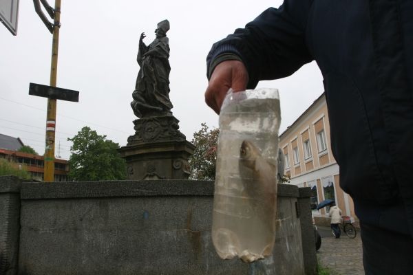 Když se neznámý průvodce objeví o půl hodiny později na valašskomeziříčském mostě, nese v torzu PET láhve rybu, kterou zachránil, když po noční kulminaci řeky uvízla v mělčině na břehu. | Foto: Karel Toman