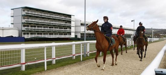 Dostihový areál v Cheltenhamu zeje prázdnotou. VE středu se kvůli větru nezávodí. | Foto: Reuters