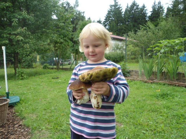 Zasílám foto do soutěže o největší houbařský úlovek, který jsme našly společně s vnučkou v lesích u Ondřejova. Hana Ryppelová | Foto: Hana Ryppelová