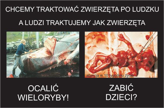 Snímek z výstavy Vyber život: "Chceme zacházet se zvířaty lidsky a k lidem se chováme jako zvířata. Zachránit velryby! Zabít děti?" | Foto: nieaborcji.pl