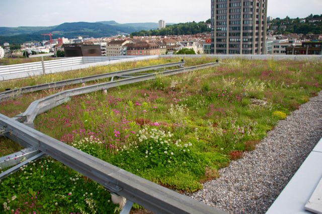 Foto: livingroofs.org