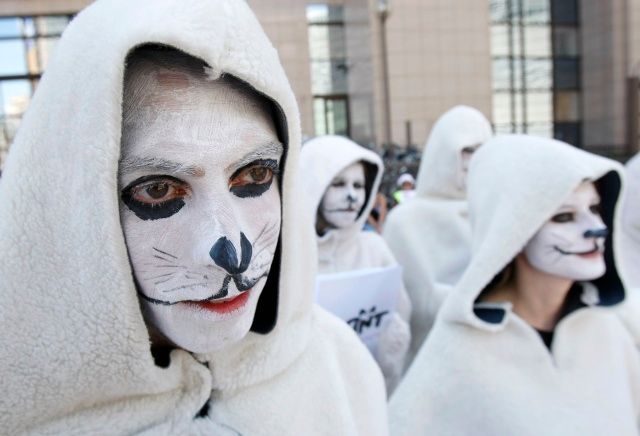 Aktivisté propagující celkový zákaz dovozu tuleních produktů, Brusel, letošní léto. | Foto: Reuters